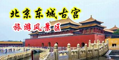 美女的骚逼被大鸡巴操中国北京-东城古宫旅游风景区